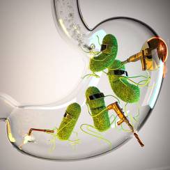 glass-stomach-with-raging-bacteria-picture-id490360964.jpg